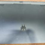 Acer predictor hales rtx 4060 core i9 4th gen