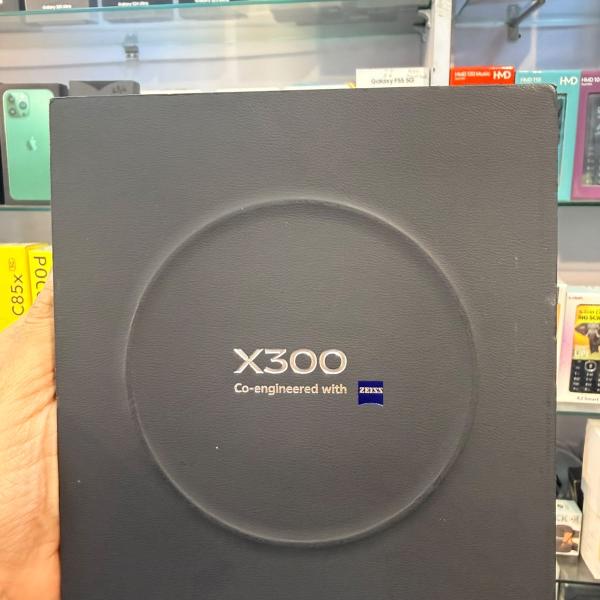 VIVO X300