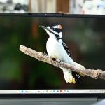 LENOVO IDEAPAD SLIM 3